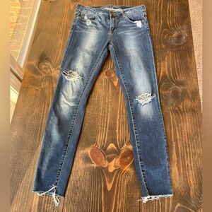 Articles of Society - Prairie